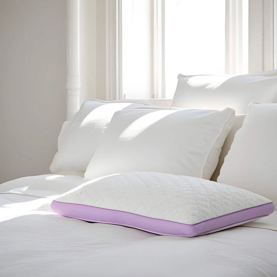 1 Queen Lavender Infused Pillow