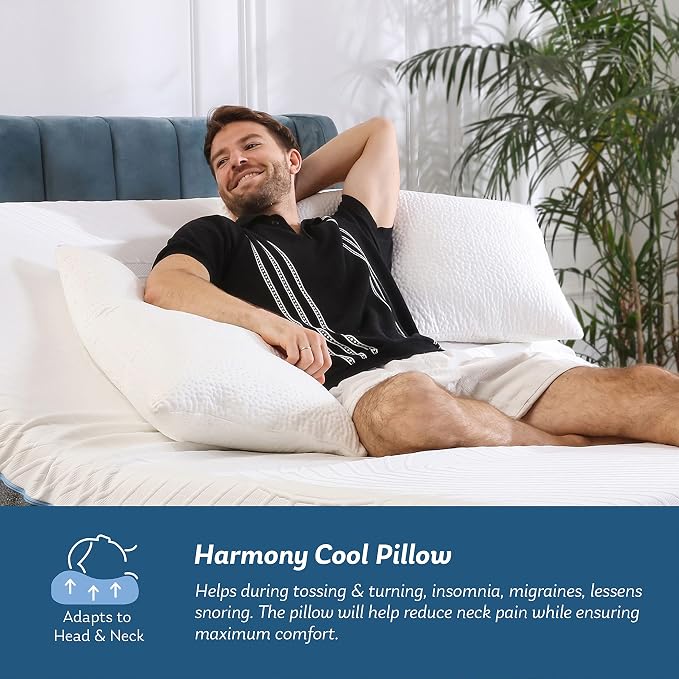2 MLILY Cooling Pillows for Sleeping Queen Size, Harmony Premium Shredded Memory Foam Pillows with Ice Silk Cover- Washable and Removable, Bed Pillows for Back, Stomach or Side Sleepers, 29"x17"